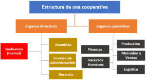 Cooperativa Qu Es Principios Origen Estructura Y Tipos