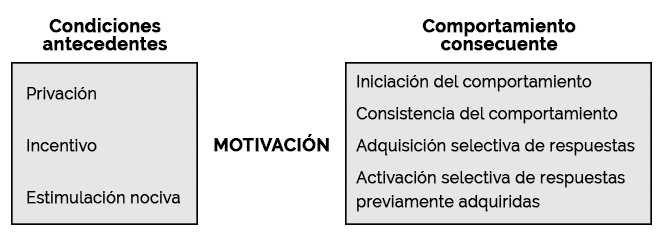 La motivación como variable intermedia del comportamiento (Ardila, p.82)