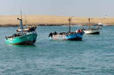 Balanced Scorecard en la gestión estratégica de una empresa pesquera del Perú