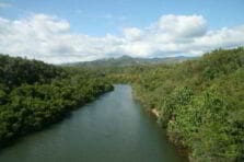 Acciones de protección del Medio Ambiente en una provincia de Cuba