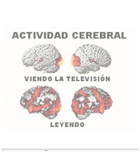 Actividad Cerebral Leyendo y Viendo Televisión