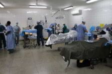 Gestión en la Atención del Paciente para un Hospital en la Argentina