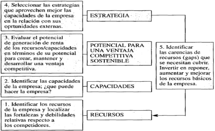 Figura 4: Enfoque basado en la Teoría de los Recursos y las capacidades para el análisis estratégico